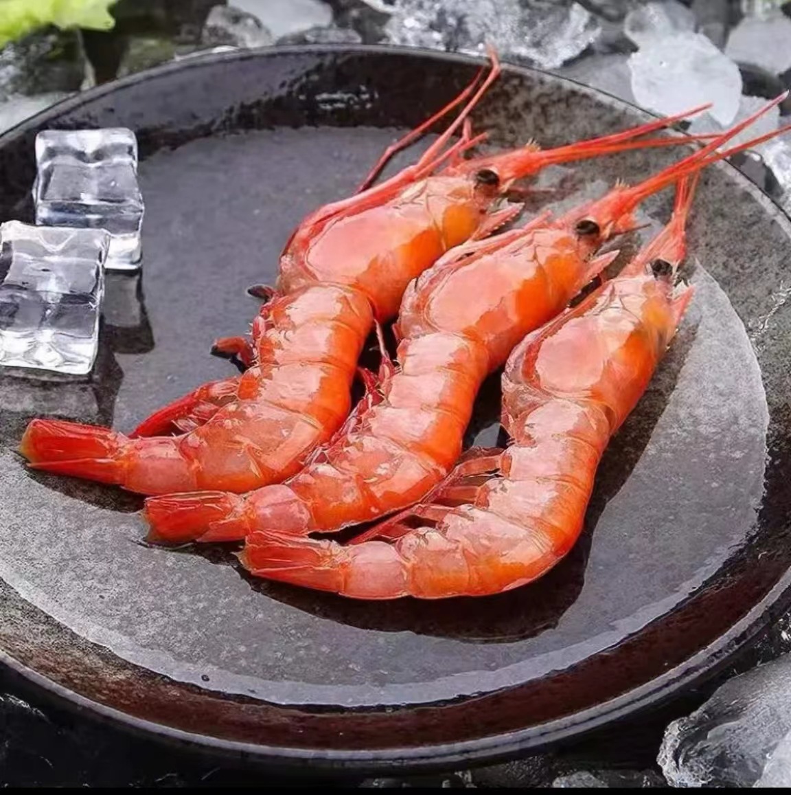 濑尿虾鲜活-濑尿虾鲜活厂家,品牌,图片,热帖-阿里巴巴