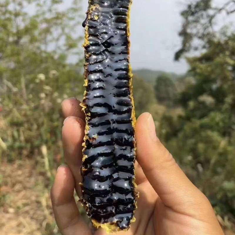 云南野生黑蜂蜜纯正天然米团花黑蜜缅甸黑金蜜崖蜜挂蜜黑蜜