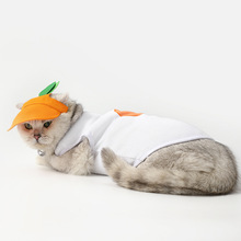 新款宠物帽子衣服套装可爱橘子猫咪服饰小型狗狗背心狗帽子厂家