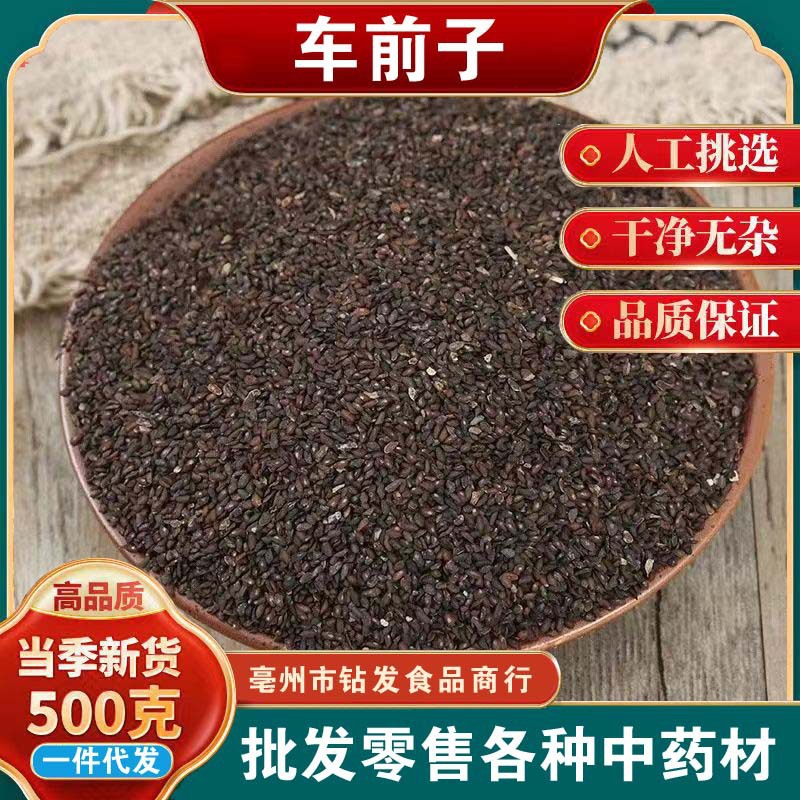 精选中药材 车前子 车前草籽 免费打粉 新货车前籽茶500克批发