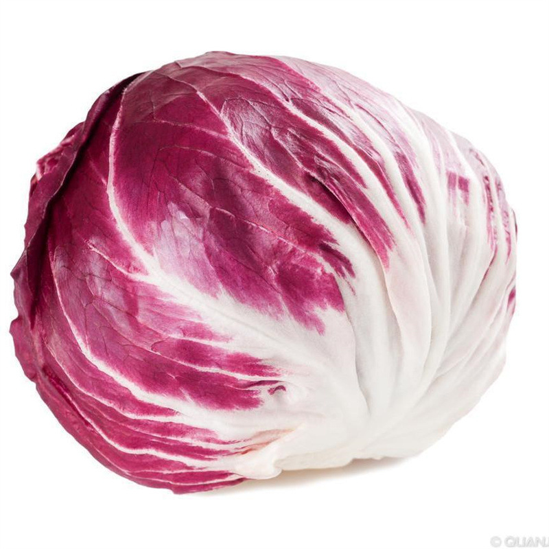 3斤包邮 新鲜落地球红球生菜红菊苣沙拉健身餐轻食批发基地直发