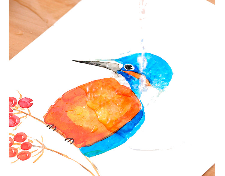 tramol采墨钢笔淡彩勾线用防水不褪色彩色墨水晚钟200ml大瓶装