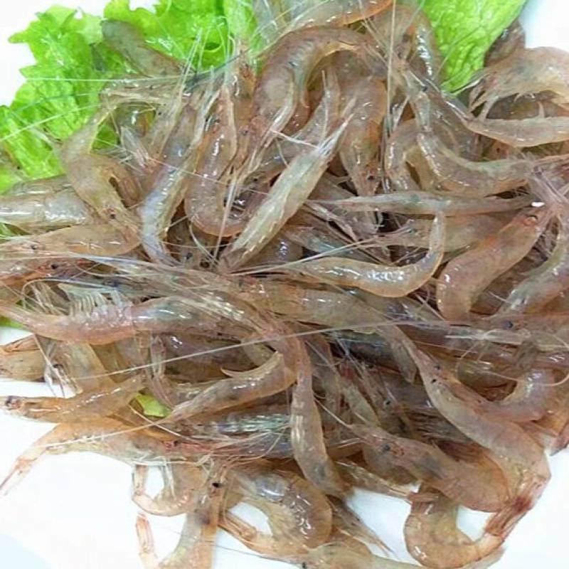 天然小白虾新鲜河虾生鲜小对虾小虾仔活冻河虾冷冻小虾包邮