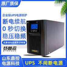 特鲁森TLS3315-N高频UPS不间断电源15KVA13.5KW塔式医疗设备维护