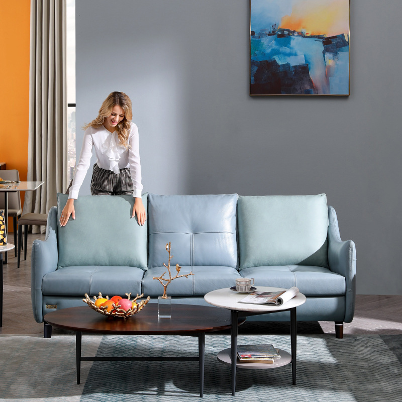 都市现代简约北欧风格头层牛皮轻奢沙发客厅家具c-1268