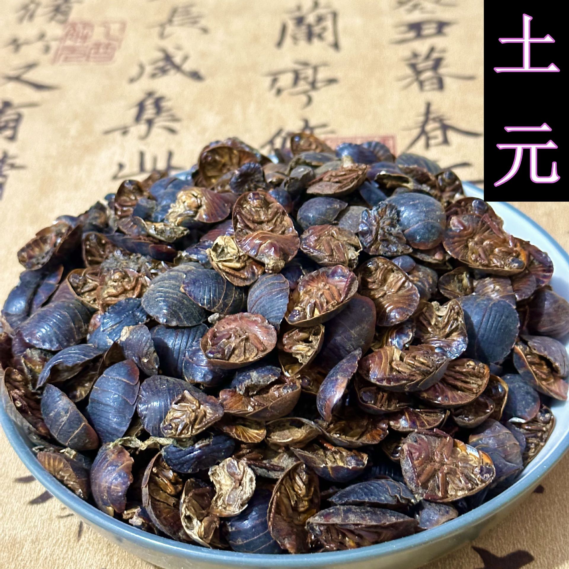 批发中药材 土元 土鳖虫 土鳖虫粉 免费打粉土鳖虫 实物拍摄-阿里巴巴