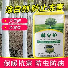 树木涂白剂树干涂白粉防虫卵防病防寒防日灼果树刷白剂20kg/袋