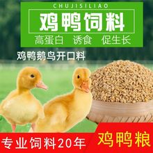鸡饲料厂家直销批发价0-1个月3个月小颗粒钓鱼小鸭鹌鹑芦丁鸡通用