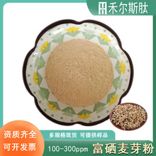 富硒麦芽粉100ppm-300ppm小麦胚芽提取有机硒麦芽食品级原料