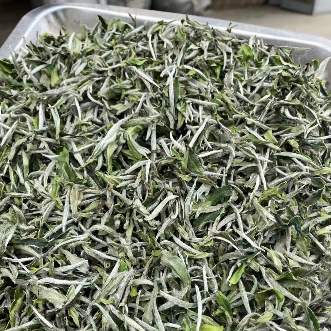 2022年新茶福鼎头采白牡丹散春茶500g花香水甜王福建白茶厂家茶叶