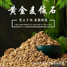 厂家批发黄金麦饭石 多肉铺面 水产养殖 调节水质净化麦饭石