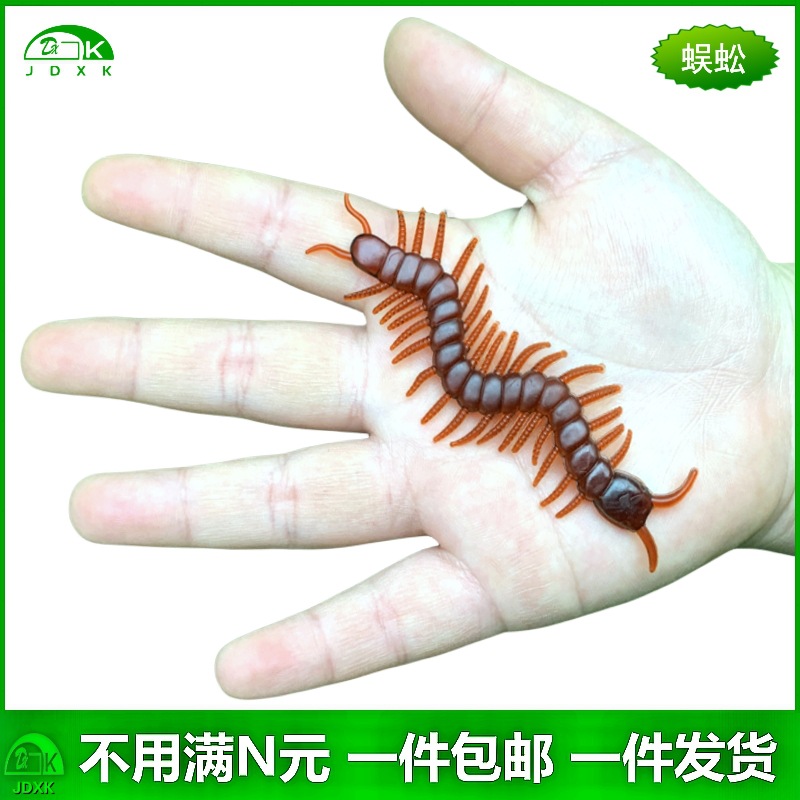 仿真蜈蚣大小号百足虫幼儿园儿童认知玩具假昆虫吓人恶搞动物模型