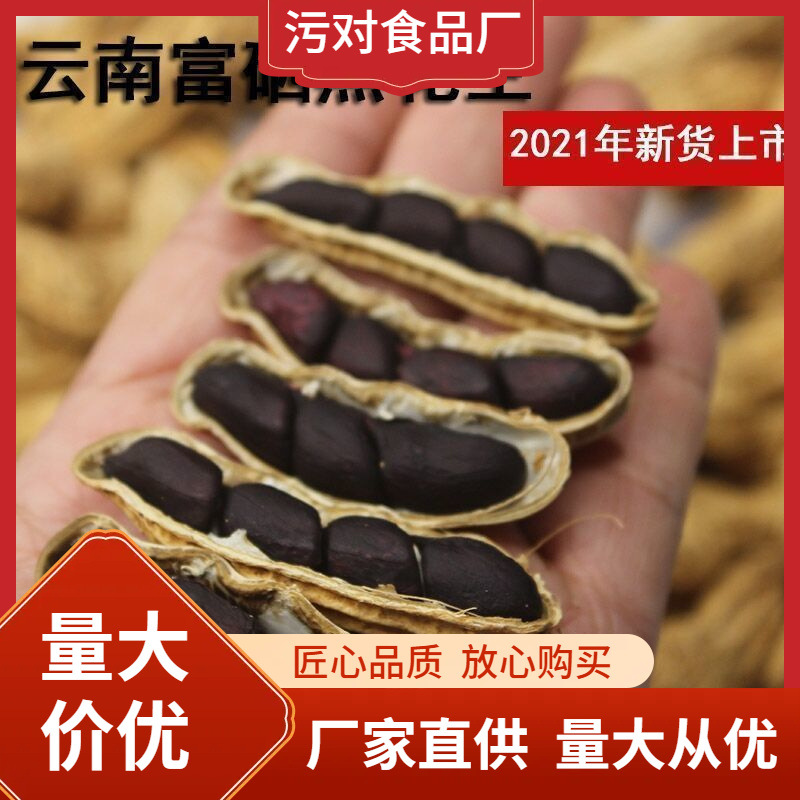 包邮云南富硒黑新生花生可做种子带壳生的生吃黑紫皮花生黑紫大粒