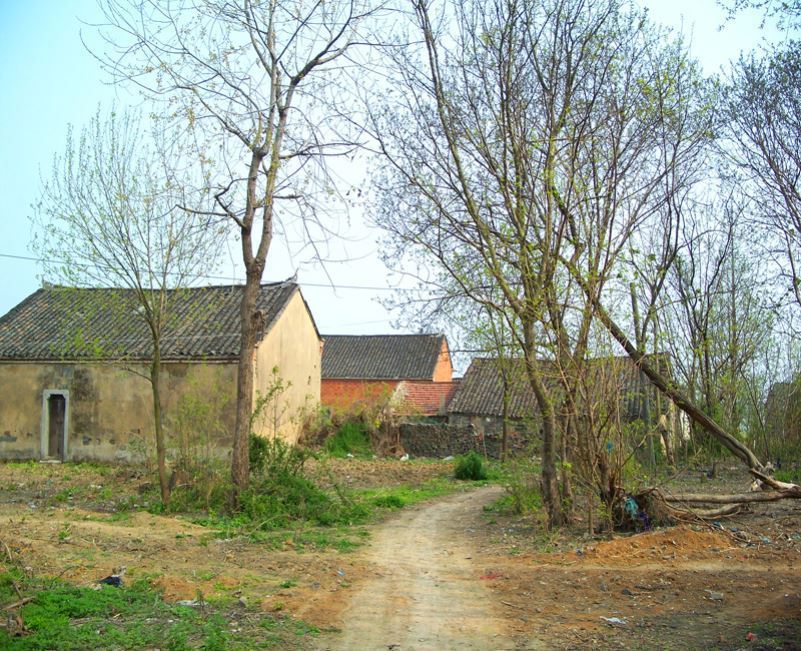 主播背景布3d高清2021直播间装饰背景墙图可移动农村老房子山水款