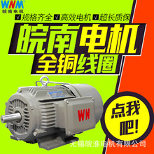 皖南电机YXEJ电磁制动三相异步电动机7.5kw11kw15kw18kw22kw30kw