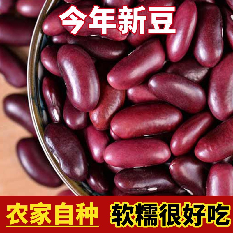 今年大红豆 云南红腰豆批发 农家自种红芸豆酸菜红豆豆类五谷杂粮
