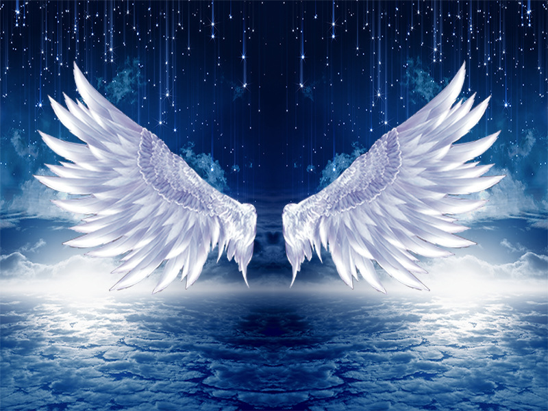 抖音新款主播背景布网红男女3d直播间室内翅膀韩版温馨大气背景墙