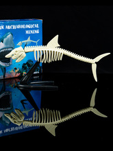 博物馆考古盲盒考古挖掘玩具手工diy儿童化石鲨鱼骨架挖掘玩具3岁