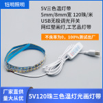 5V三色温变光灯带灯光画阳光画装饰品led照明USB插电款