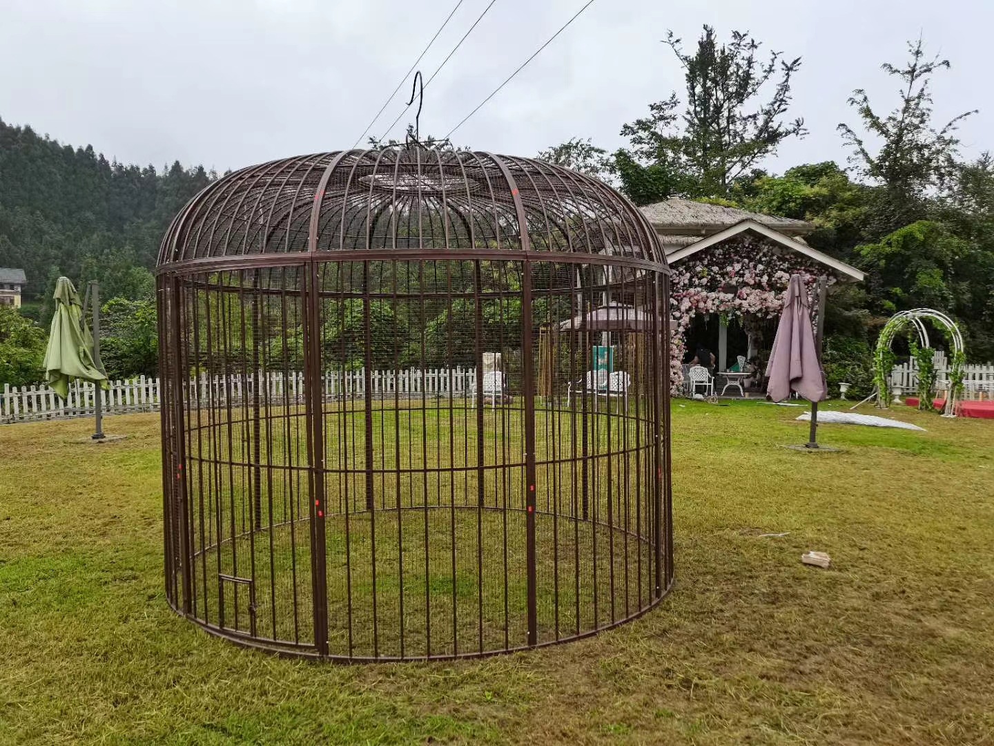 铁艺特大号鸟笼加网鹦鹉鸟笼户外大型超大巨型鸟笼装饰孔雀养鸟笼