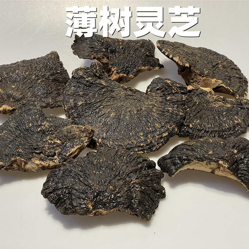 云南薄树芝批发深山采摘薄树灵芝煲汤泡酒菌香不苦灵芝500g中药材