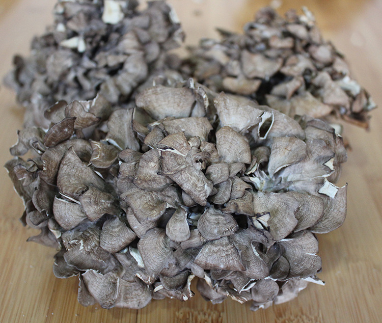 优质无尘生长免洗新鲜舞茸灰树花栗蘑舞茸菌舞茸茶整大朵精选款