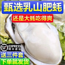 顺丰包邮生蚝海鲜特大号生蚝带壳一整箱无沙新鲜水产批发大海蛎子