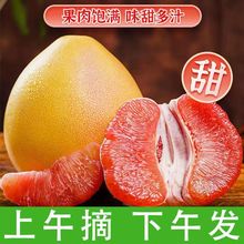 【超低价】红心蜜柚福建平和新鲜柚子时令水果新鲜应季整箱批发