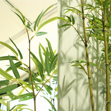 仿真竹子造景假竹子仿真植物室内外装饰隔断挡墙仿生加密竹子绿植