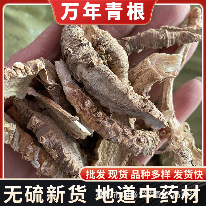 万年青根中药材批发开口剑 开口箭 牛尾七铁扁担斩蛇剑 白河车