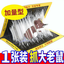 强力粘鼠板大老鼠专捉加厚老鼠贴粘胶灭鼠板强粘度捕鼠速卖通批发