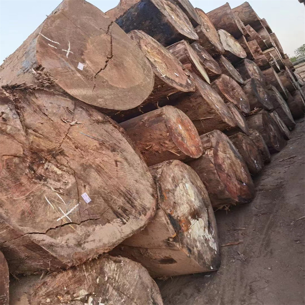 现货供应【漆木】原木板材红胡桃大径漆木家具木料防朽建筑用材