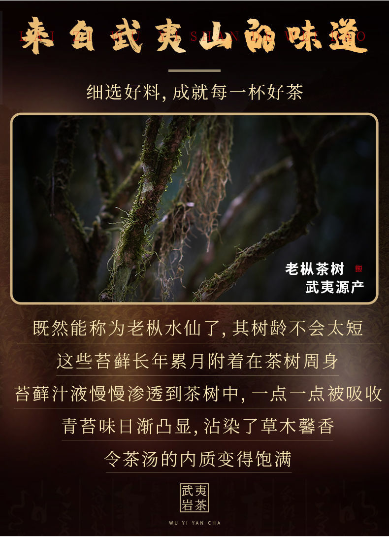 武夷老枞水仙茶500g大红袍茶叶一级正宗岩茶高档礼盒装正岩肉桂