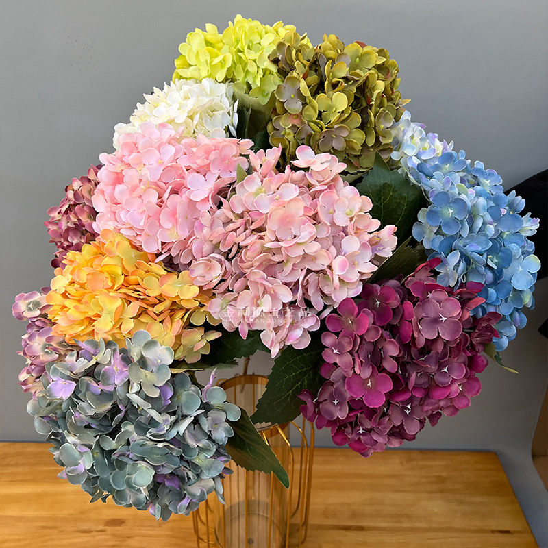 单头法国绣球加密马卡龙176片花瓣米兰绣球花婚庆花材外贸家居摆