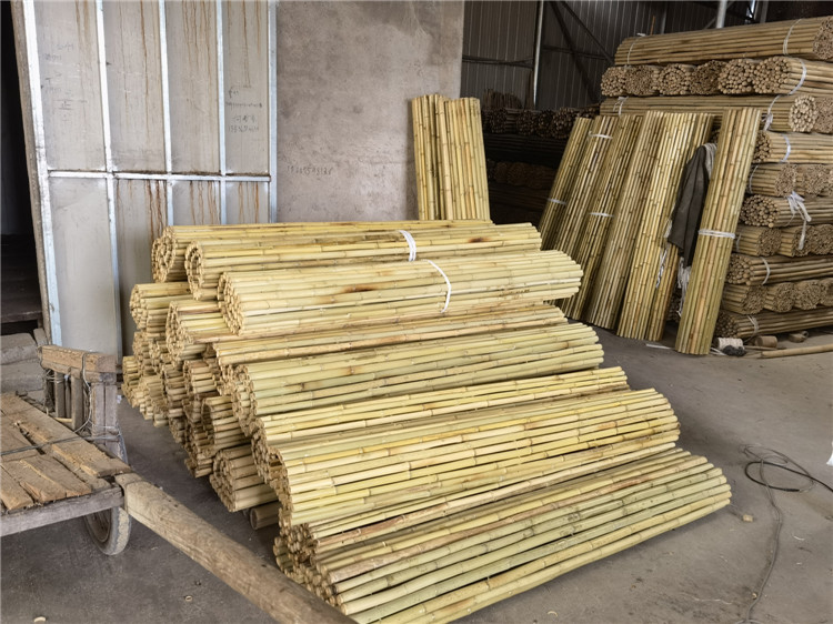 装修白竹竿大棚竹杆竹栅栏竹篱笆干竹子楠竹毛竹竹干白竹