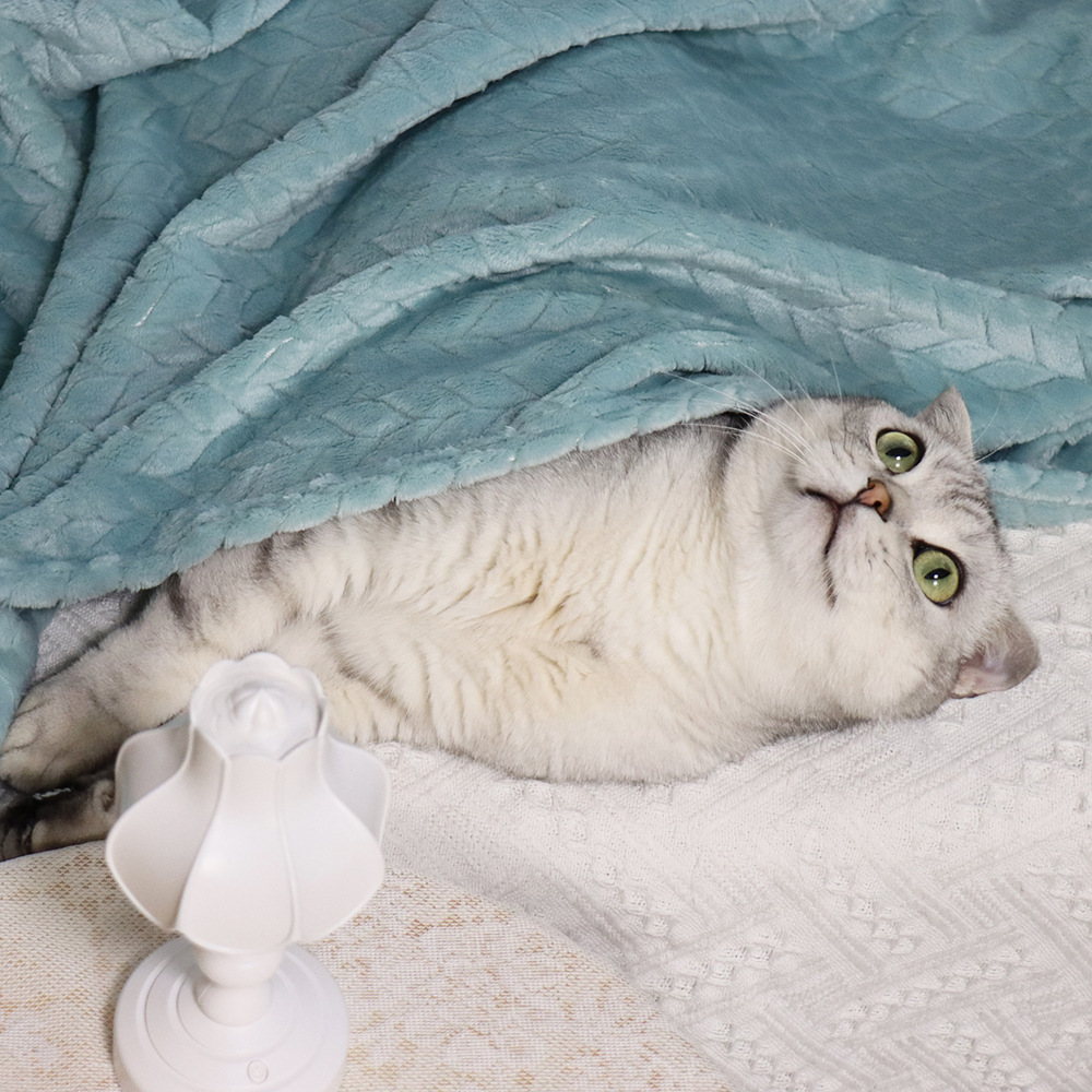 麦穗绒小毛毯宠物毯猫咪盖毯窝垫子狗狗保暖盖毯珊瑚绒毯加厚毯子