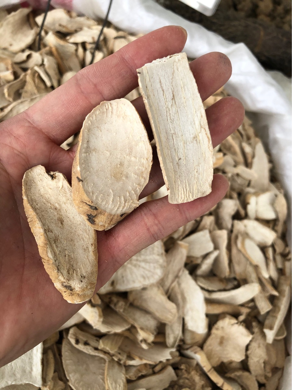 中药材 隔山消隔山撬牛皮消白首乌 白何首乌