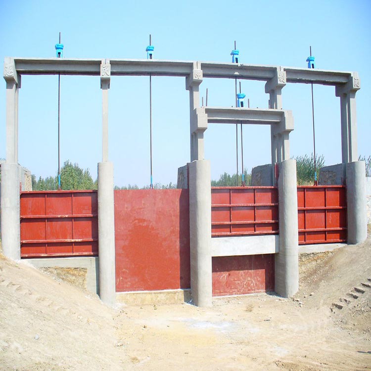 双止水铸铁闸门