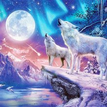 热销钻石画粘圆钻冬季冰原雪狼嚎叫跨境亚马逊独立站wish厂家直销