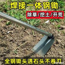 锰钢锄头钢管焊接锄头种菜翻地长柄除草挖笋锄头高碳钢大宽锄头