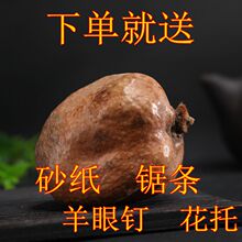 佛心果原籽灯芯菩提原料手串挂坠释迦菩提原果菩提果单颗大沐雨原