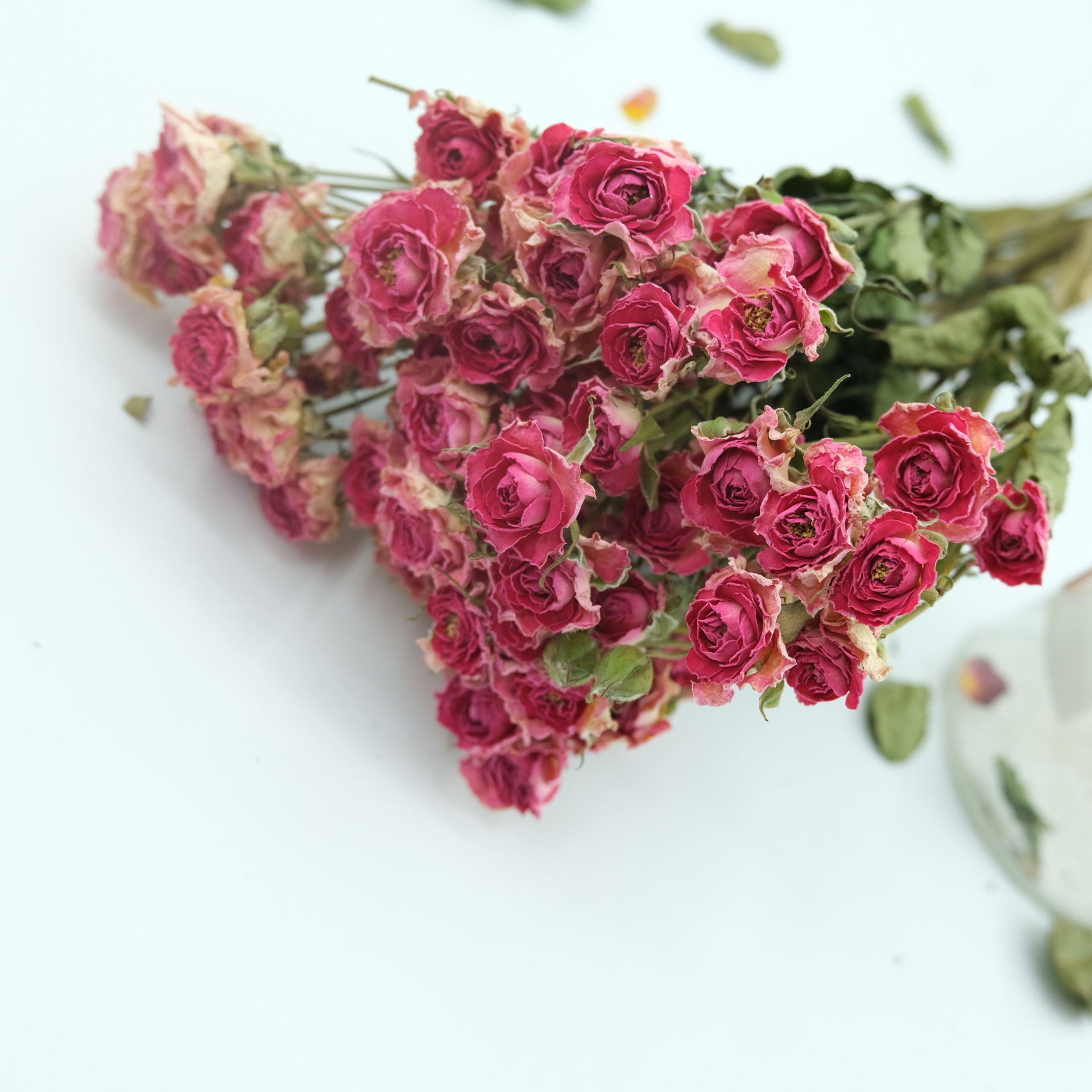 多头玫瑰干花 多头泡泡自然风干滴胶香薰蜡烛压花花材批发花束