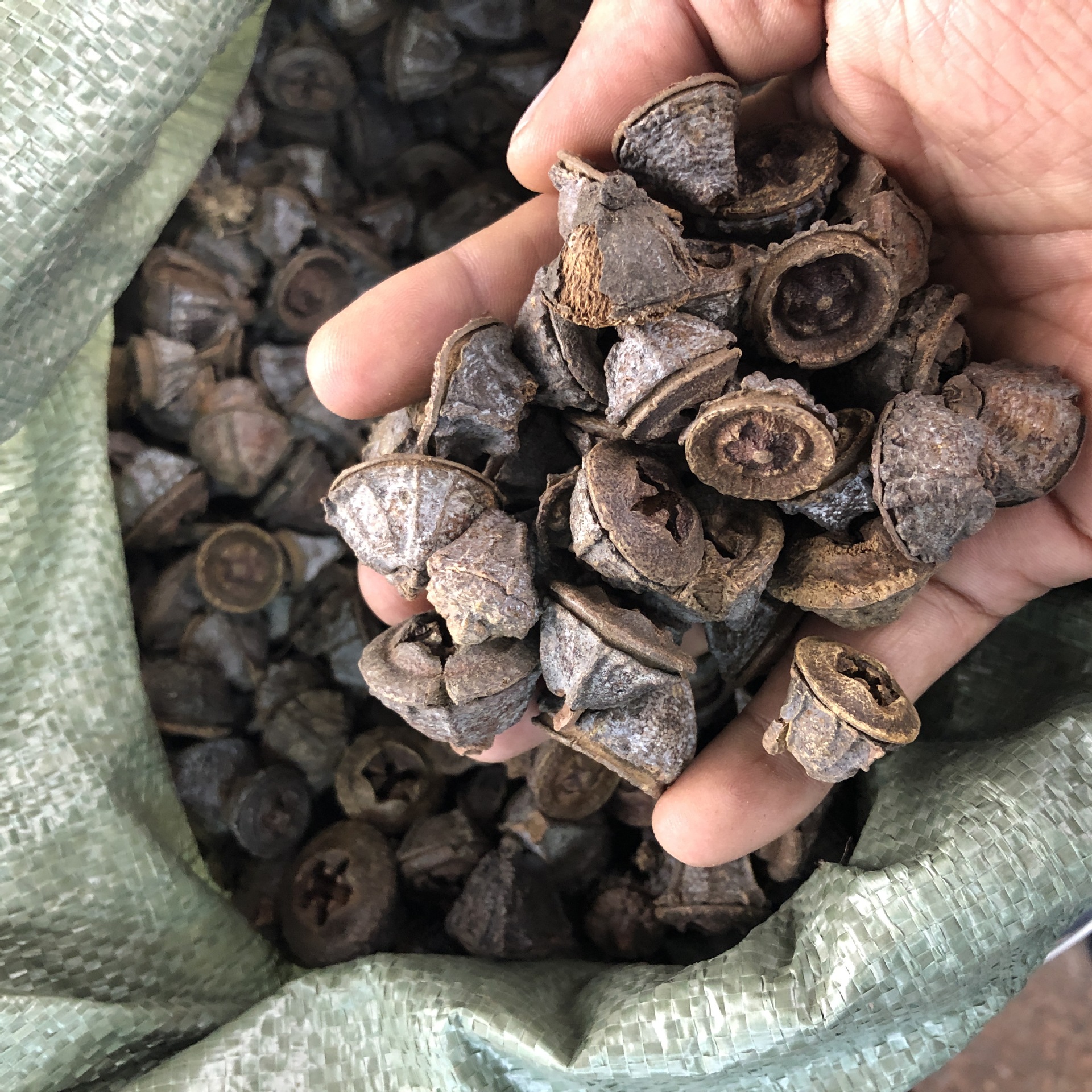 一口钟500g 云南野生盅泡酒香料调料中药材干货树皮散装包邮食用