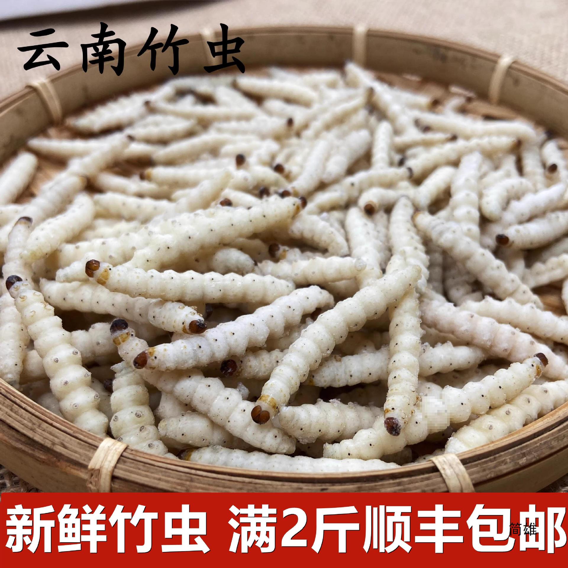 云南产野生竹虫鲜新冷冻冰冻竹蛹竹节虫满2斤顺丰包邮500克带冰