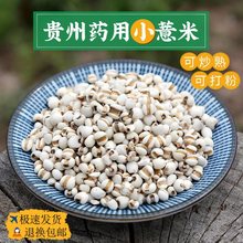 中药材薏苡仁贵州薏仁米新货炒熟的小薏米仁麸炒薏苡仁药用生薏米