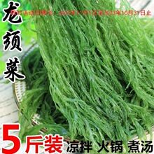 龙须菜5斤海草海藻菜裙带菜海白菜盐渍鲜嫩凉拌菜火锅食材蔬2斤