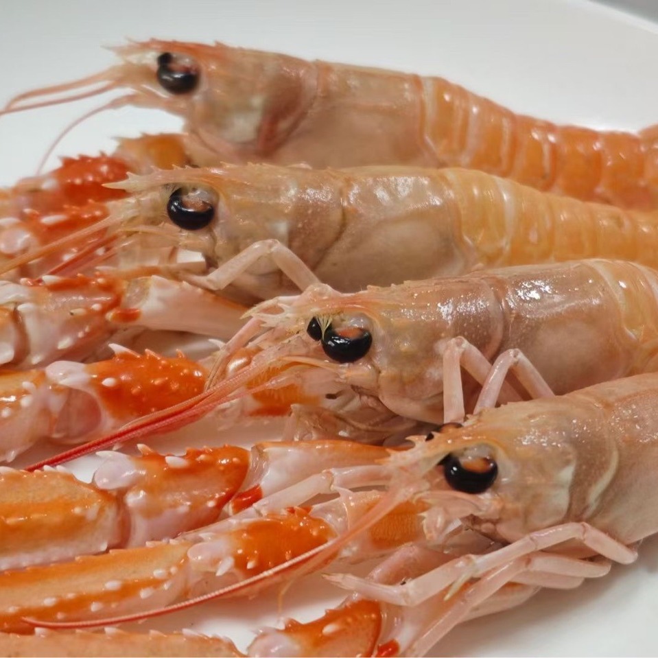 冷冻爱尔兰深海鳌虾刺身虾类自助餐