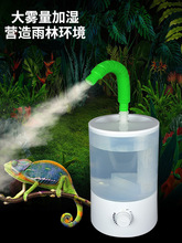 爬宠加湿器小型带管爬虫陆龟蜥蜴热带雾化增湿器置物宠物