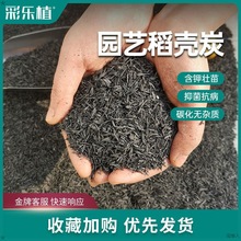 10升稻壳炭草木灰木炭粒度夏帮手拌土营养土除病害防黑腐多肉土跨