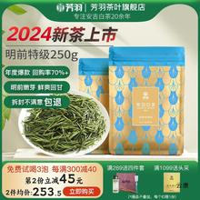 2024年新茶芳羽安吉白茶明前级嫩芽250g散装茶叶高山绿茶